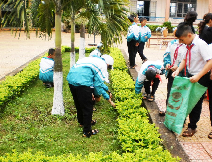 Giáo dục môi trường ngày càng quan trọng