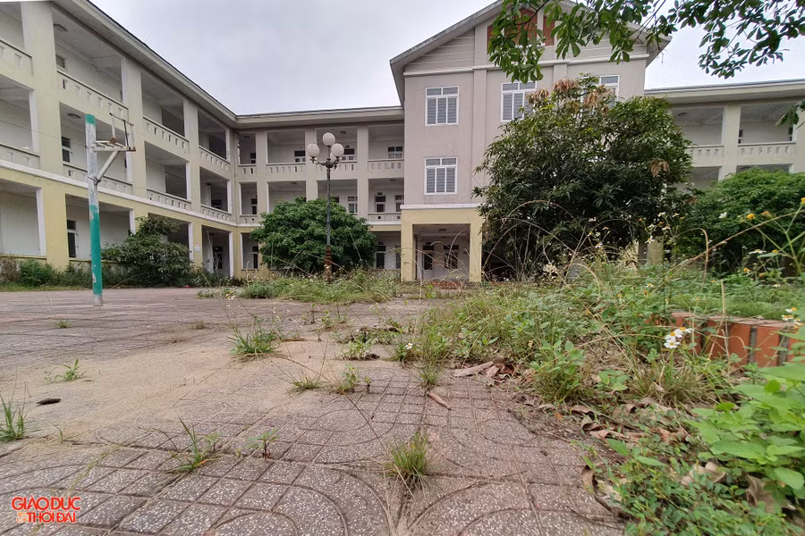 Do bỏ hoang lâu ngày nên cơ sở hạ tầng bị xuống cấp, cỏ dại mọc um tùm trong khuôn viên. Ảnh: Phạm Tâm.