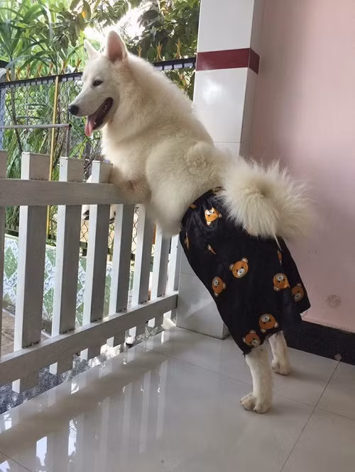 Phong cách dân chơi.