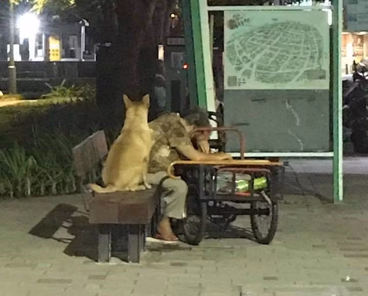 “Chú chó không bỏ rơi bà để đi chơi mà chăm chú ngồi cạnh. Lòng trung thành của nó thật đáng quý”.