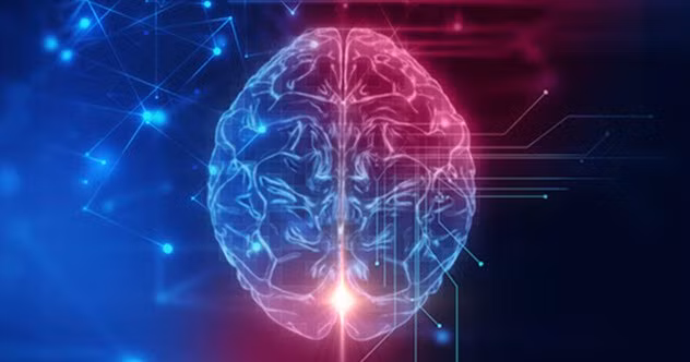 Chuyện điên rồ về trí tuệ nhân tạo