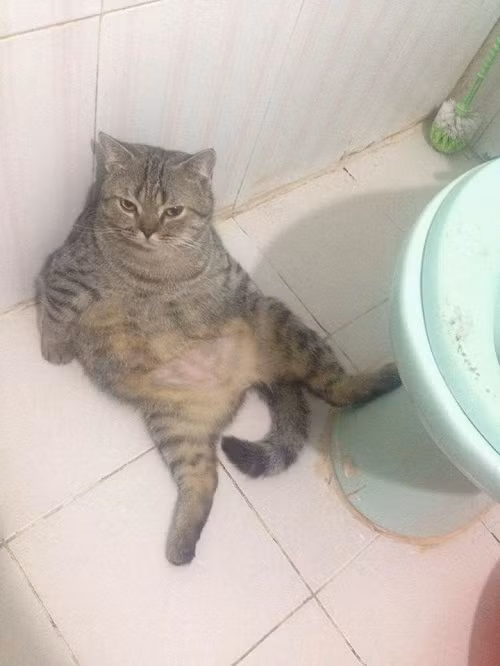 Dáng ngồi khó đỡ. 10-anh-hai-hot-nhat-facebook-trong-ngay-8