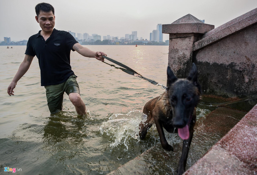 Một số người còn mang cả chó ra hồ Tây tắm mát. Mat duong o Ha Noi nong hon 50 do C hinh anh 12