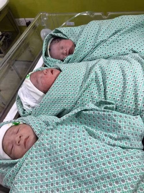 me hai phong sinh 3 con bu bam, dan mang tram tro: "mot lan la xong nhiem vu" - 3