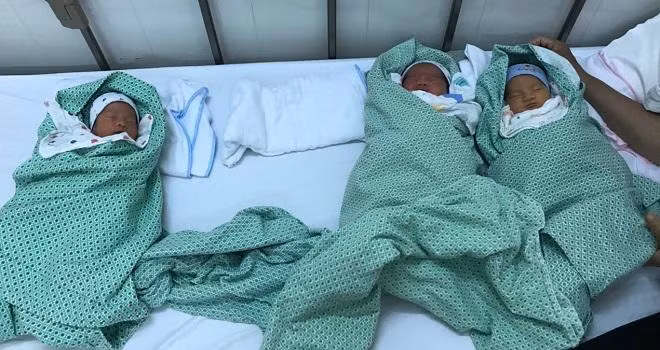 me hai phong sinh 3 con bu bam, dan mang tram tro: "mot lan la xong nhiem vu" - 2