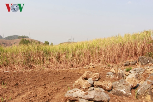 son la nang nong ky luc, cuoc song cua nguoi dan bi dao lon hinh 10