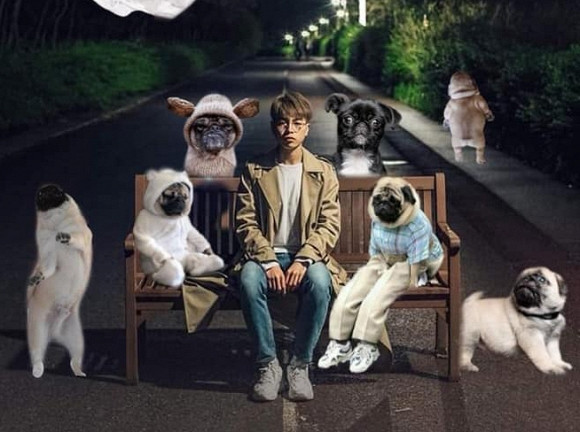 Phúc buồn, đừng lo đã có Pug.