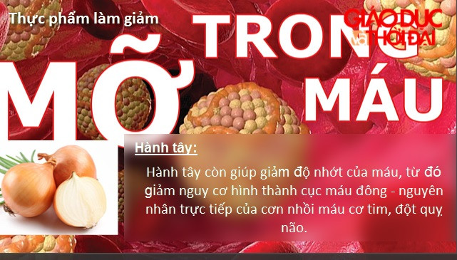 Những thực phẩm hàng đầu giúp làm giảm mỡ máu