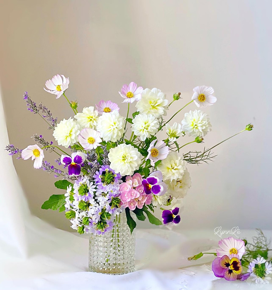 Hoa thược dược, cúc Châu Phi, hoa bướm, oải hương, hoa quạt, pansy, cẩm tú cầu.