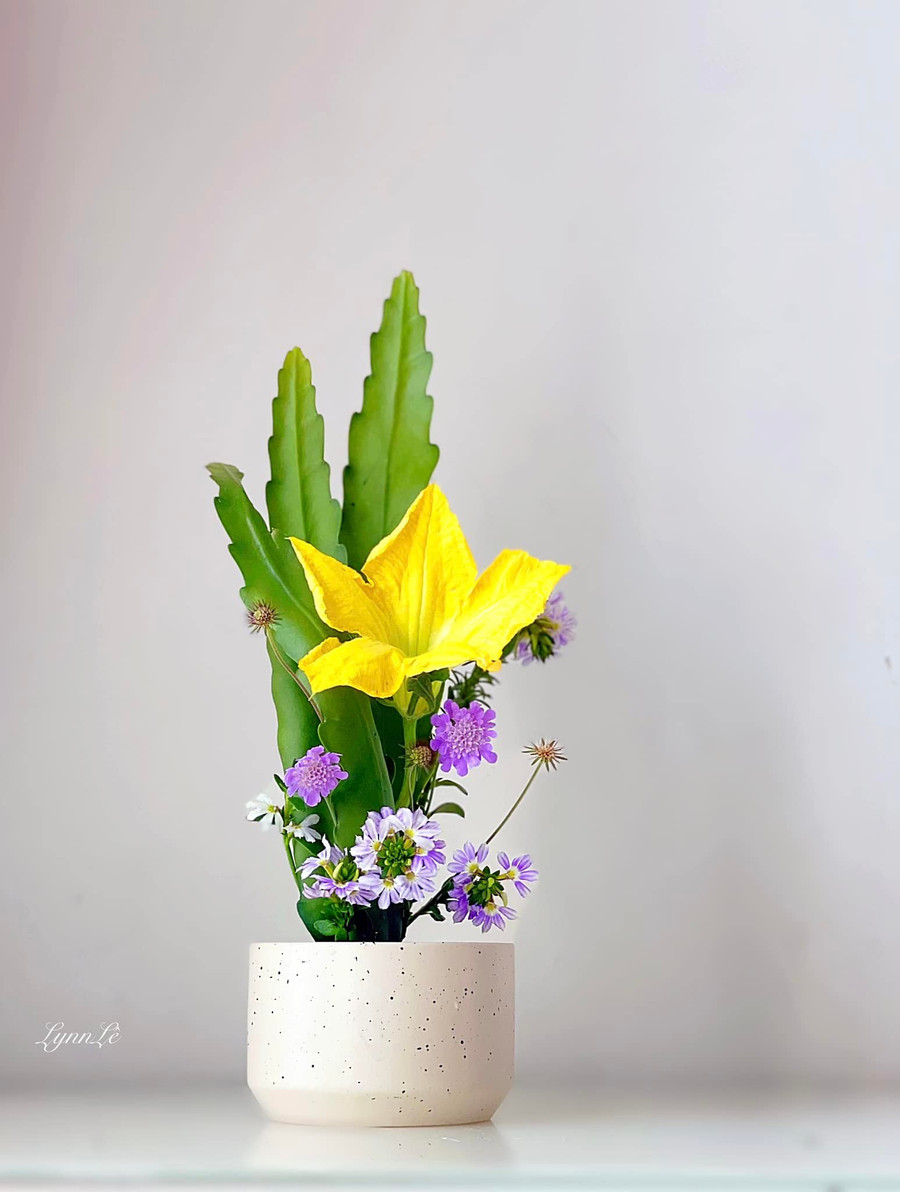 Hoa cắm trong bình đều do chính tay chị Lynn trồng và chăm sóc.