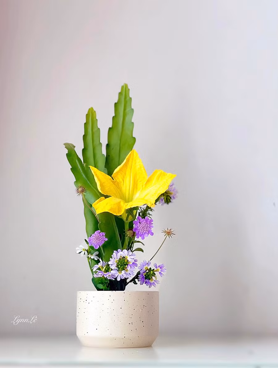 Hoa cắm trong bình đều do chính tay chị Lynn trồng và chăm sóc.