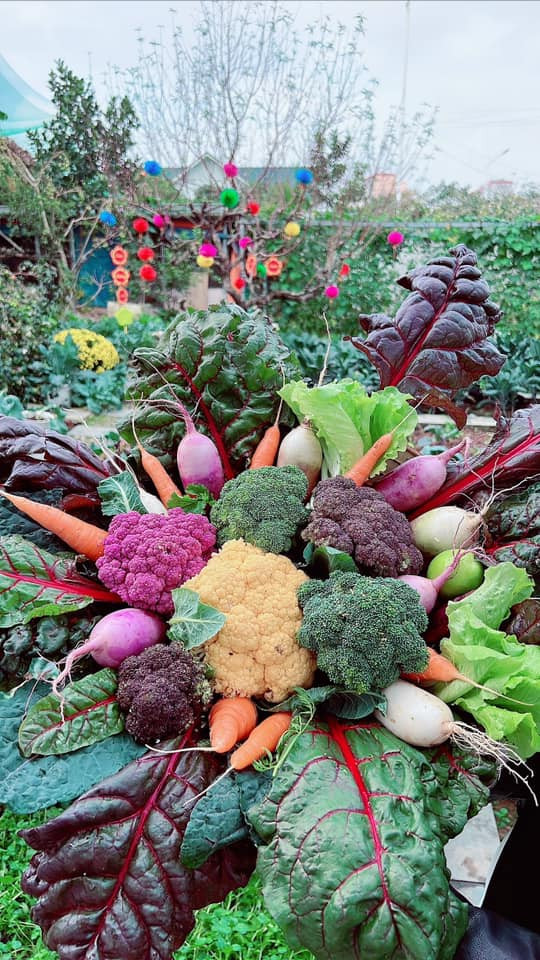 Kết hợp nhiều loại súp lơ màu và các loại củ trong vườn.