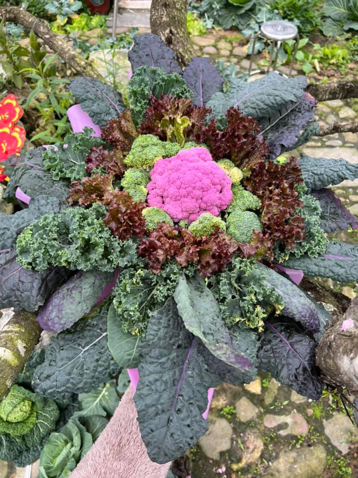 Bó hoa từ hoa súp lơ và lá cải kale và rau xà lách.