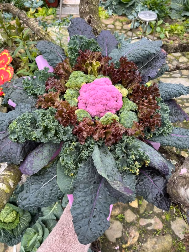 Bó hoa từ hoa súp lơ và lá cải kale và rau xà lách.