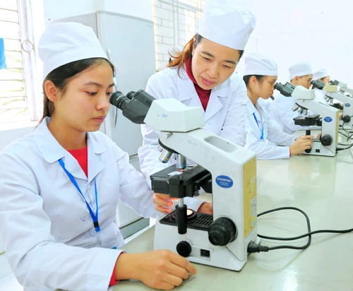 Nghiên cứu khoa học trong các trường ĐH ngày càng được chú trọng và hướng vào thực chất, hiệu quả với tính ứng dụng cao