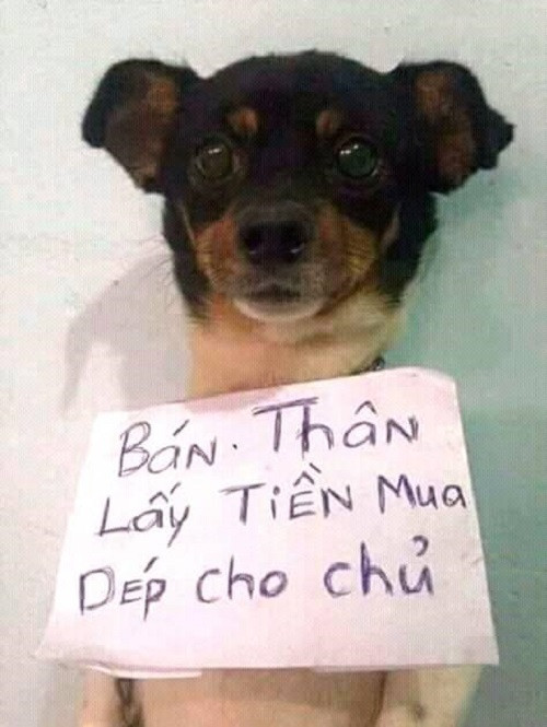 Bán thân chuộc tội. Bán thân chuộc tội.