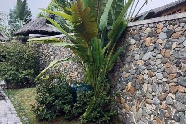 Nỗi ám ảnh của người vợ có chồng giàu có nhưng keo kiệt, vũ phu