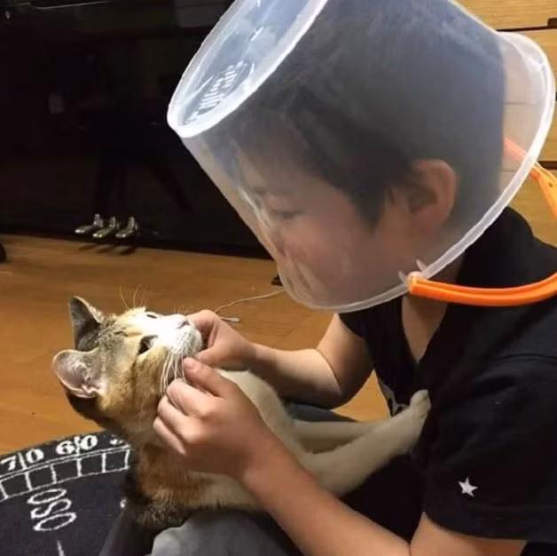 Hình ảnh chú bé bị mèo cào không thương tiếc nhưng vẫn bất chấp tất cả để chơi cùng.