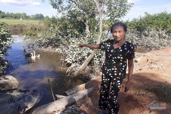 Trưởng thôn ở Hà Tĩnh kể phút tận mắt thấy cá sấu 2m nổi trên sông ảnh 3 Trưởng thôn ở Hà Tĩnh kể phút tận mắt thấy cá sấu 2m nổi trên sông