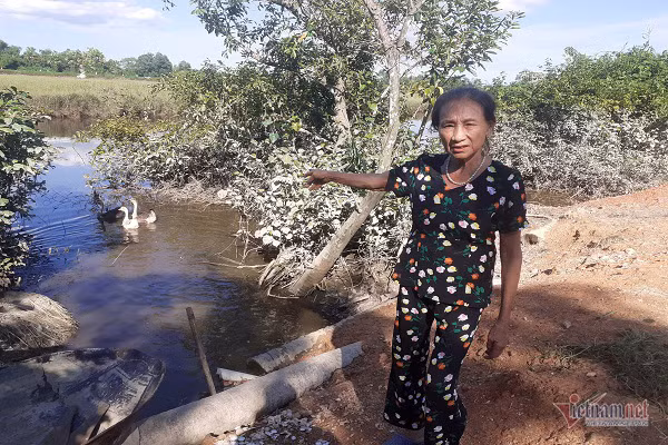 Trưởng thôn ở Hà Tĩnh kể phút tận mắt thấy cá sấu 2m nổi trên sông