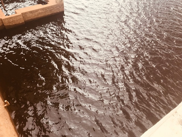 Phía đập Dâng nước vẫn giữ một màu đỏ "bền vững".