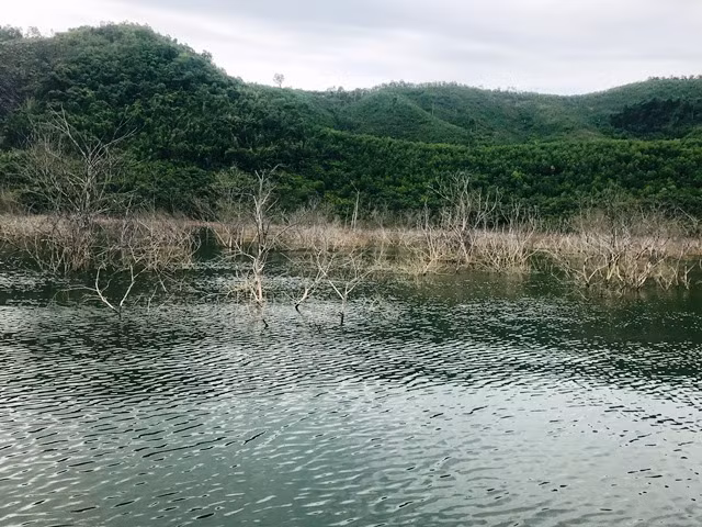 Lượng cây khô nằm trong lòng hồ chỉ có một số ít. Lượng cây khô nằm trong lòng hồ chỉ có một số ít.
