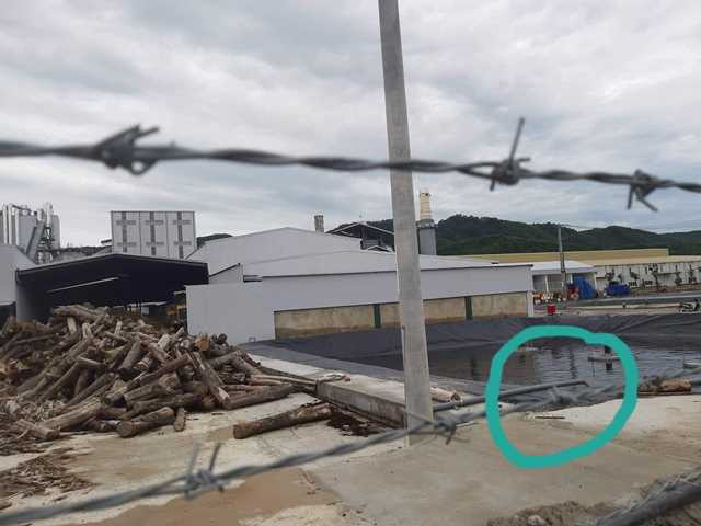 Tại vị trí hồ gom nước thải Thanh Thành Đạt, có một ống nhựa khá to đang dẫn nước chảy vào bể lắng, nước màu đỏ đục.