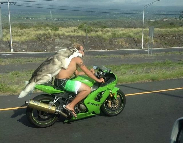 Không thể tin nổi những hình ảnh này lại xuất hiện trên phố - Hình 12