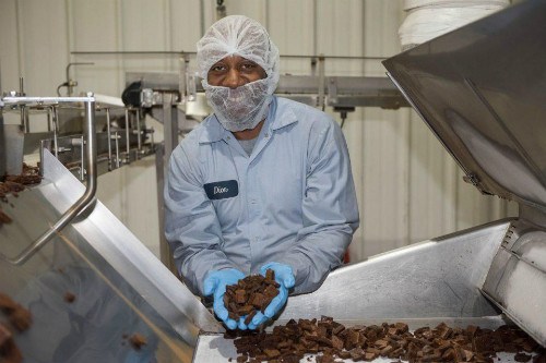 Thợ bánh Dion bên mẻ bánh Browniechocolate. Thợ bánh Dion bên mẻ bánhbrowniechocolate.