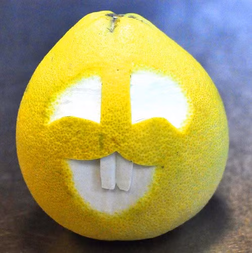 Tự làm thỏ bằng bưởi đáng yêu cho bé ngày trung thu - Hình 3