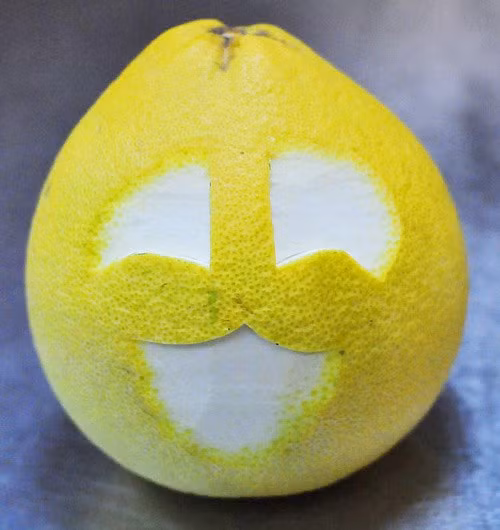 Tự làm thỏ bằng bưởi đáng yêu cho bé ngày trung thu - Hình 2