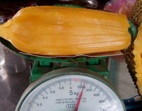 Mỗi múi mít nặng hơn 200 lạng trở lên. Ảnh: NVCC