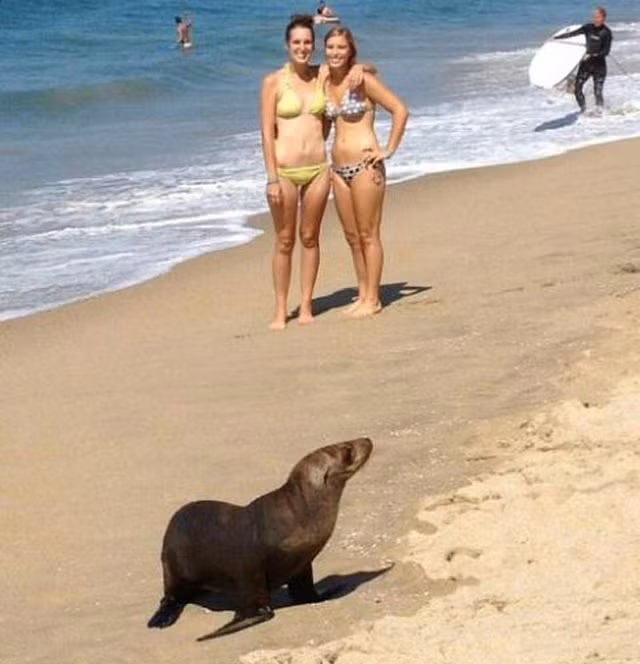 Muôn kiểu phá đám đáng ghét khi đang chụp ảnh sống ảo - Hình 11