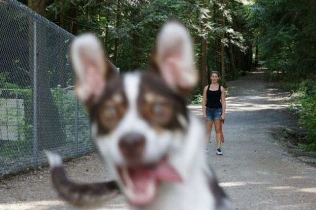 Muôn kiểu phá đám đáng ghét khi đang chụp ảnh sống ảo - Hình 7