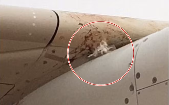 Hơn 170 người mặt cắt không còn giọt máu khi máy bay hỏng động cơ giữa trời chỉ vì... - Ảnh 1.