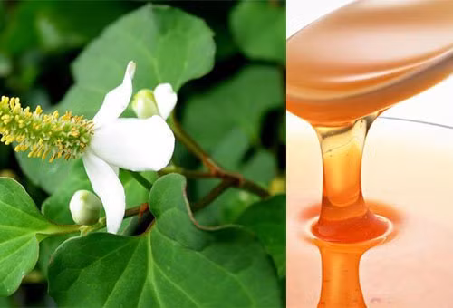 gia nat rau diep ca roi cho them thu nay, mun cung dau den dau cung het sach den do - 7