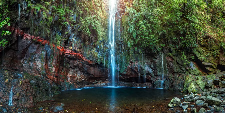 Madeira – xứ sở của các loài hoa