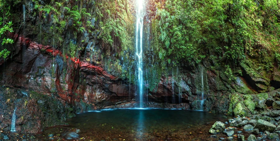 Madeira – xứ sở của các loài hoa