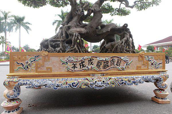 Chiêm ngưỡng cây sanh cổ “ngọa hổ tàng long” giá hơn 32 tỷ đồng của đại gia Phú Thọ ảnh 4 sanh co "ngọa hỏ tàng long" giá hon 32 tỷ dòng cua dai gia phu tho - 4