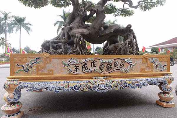 sanh co "ngọa hỏ tàng long" giá hon 32 tỷ dòng cua dai gia phu tho - 4