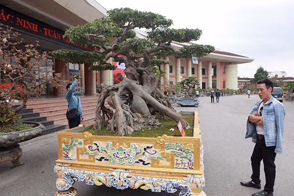 sanh co "ngọa hỏ tàng long" giá hon 32 tỷ dòng cua dai gia phu tho - 2