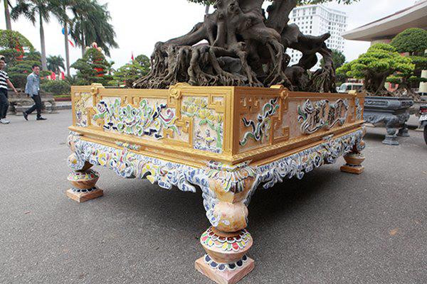 Chiêm ngưỡng cây sanh cổ “ngọa hổ tàng long” giá hơn 32 tỷ đồng của đại gia Phú Thọ ảnh 5 sanh co "ngọa hỏ tàng long" giá hon 32 tỷ dòng cua dai gia phu tho - 5