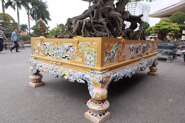 sanh co "ngọa hỏ tàng long" giá hon 32 tỷ dòng cua dai gia phu tho - 5