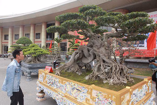 sanh co "ngọa hỏ tàng long" giá hon 32 tỷ dòng cua dai gia phu tho - 13