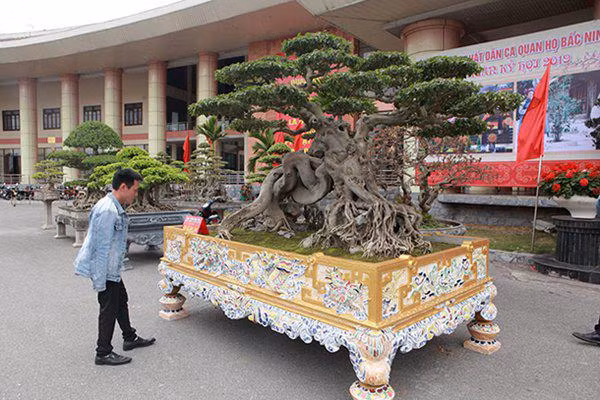 sanh co "ngọa hỏ tàng long" giá hon 32 tỷ dòng cua dai gia phu tho - 3