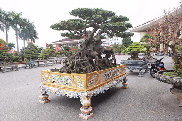 sanh co "ngọa hỏ tàng long" giá hon 32 tỷ dòng cua dai gia phu tho - 14