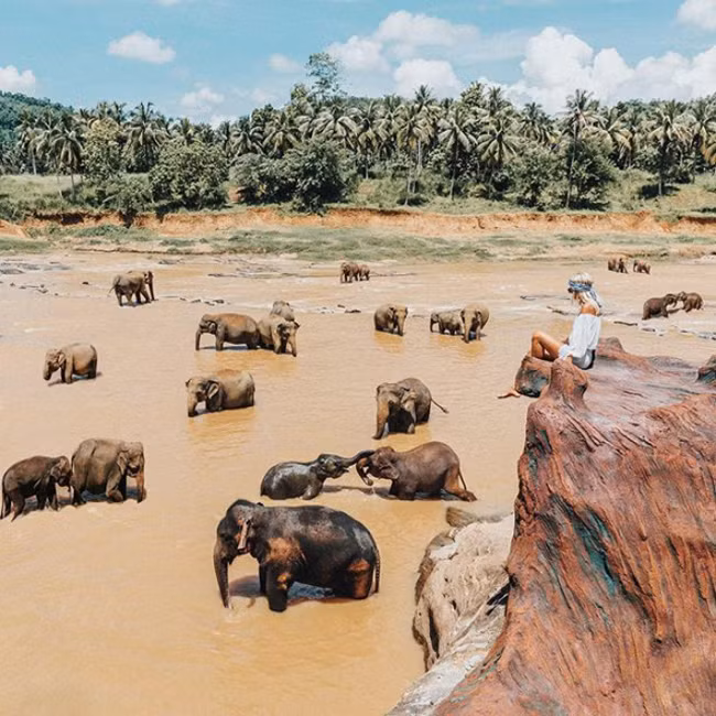 chi nho du lich, cap doi nay co the kiem toi 9.000 usd cho moi buc anh hinh anh 12