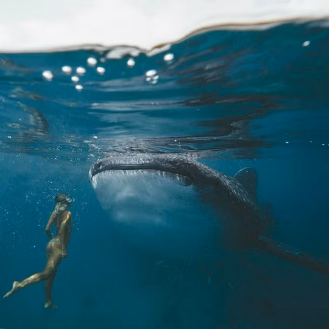 chi nho du lich, cap doi nay co the kiem toi 9.000 usd cho moi buc anh hinh anh 10