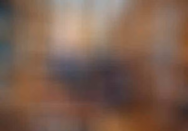 ĐH Thanh Hoa có 9 thư viện với hơn 5 triệu đầu sách và ấn phẩm khác, cung cấp kiến thức ở nhiều lĩnh vực, từ khoa học tự nhiên, kỹ thuật đến khoa học xã hội và nhân văn. Ảnh: Archinect.