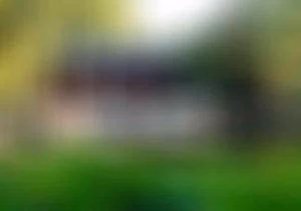 Đại học Thanh Hoa gây ấn tượng bởi ngôi trường với cảnh quan đẹp được tạo nên từ khuôn viên đầy cây xanh, ao sen cùng sự kết hợp giữa các tòa nhà truyền thống và mang kiến trúc phương Tây. Ảnh: Flickr.